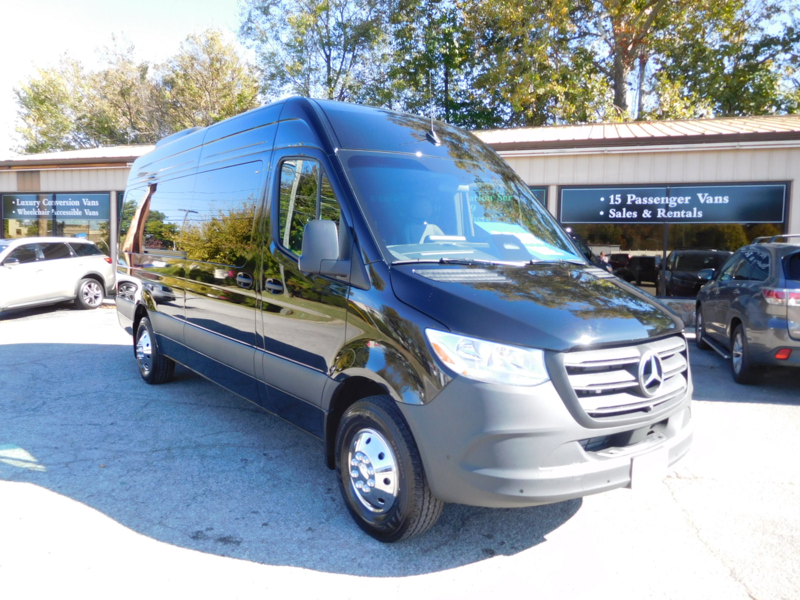 VIP Fifteen Passenger Van